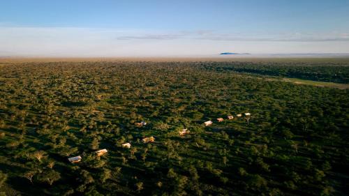 Sinoni Cabin | Gnu Ndutu Camp
