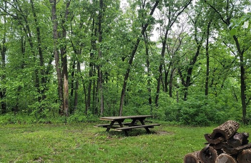 Columbia Apartment | God's Rest Wooded Retreat