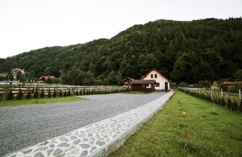 Zarnesti Villa | Gold House
