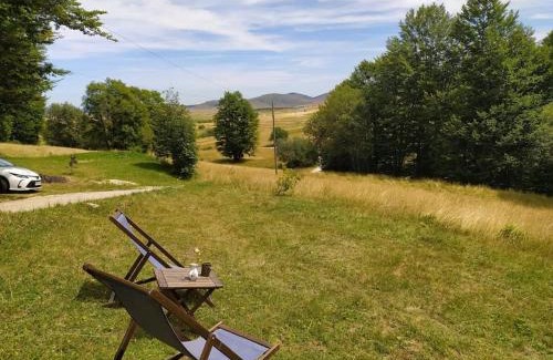 Zabljak Villa | Golden Meadow