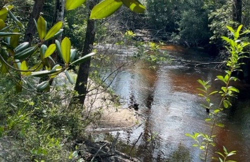 Clarksville RV Rental | Golden Retreat at Bear Creek