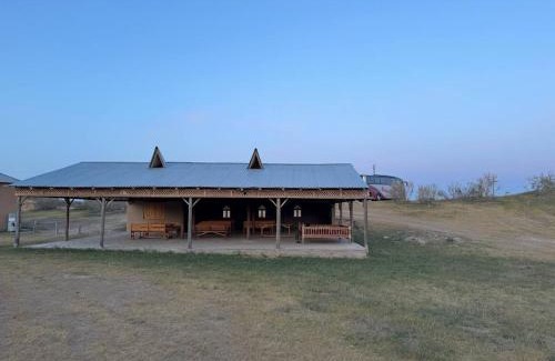 Navoiy Province Other | GOLDEN Safari YURT CAMP