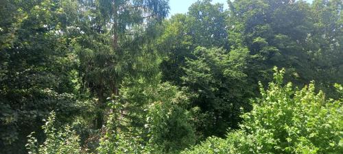 Windischeschenbach House | Goldsteig 3 - Doppelzimmer