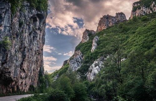 Stara Planina Apartment | Golemi kamik Pirot Vlasi 2