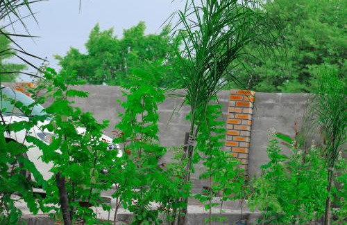 Maun House | Golentle Home Stay