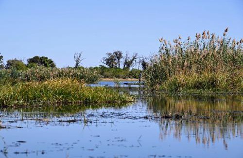 Maun House | Golentle Home Stay