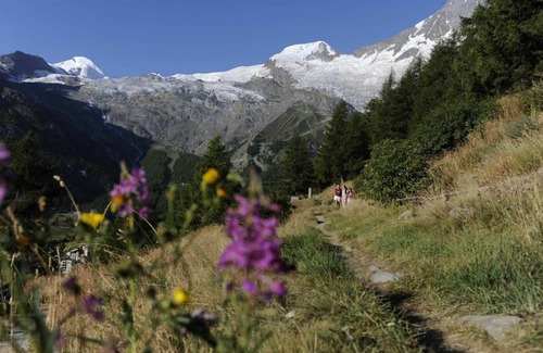 Saas-Fee Apartment | Golf 801.1