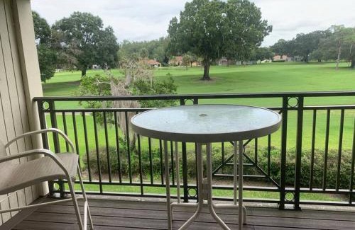 Wesley Chapel Apartment | Golf View Two Bed Two Bath Condo with Kitchen Near Tampa