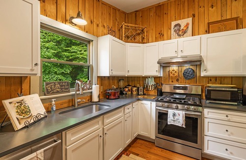 Mars Hill Cabin | Golfing and Skiing Access From This Amazing Cabin on A Stream