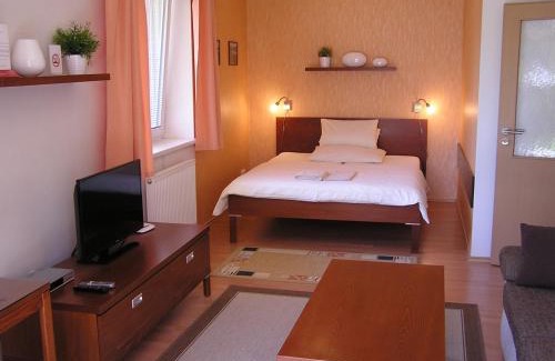 Hradec Kralove Apartment | Gonda Apartments