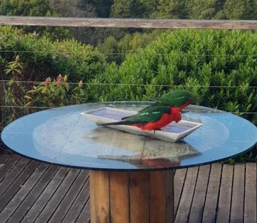 Lavers Hill House | Gone Surfin