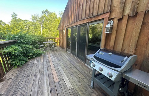 Mongaup Valley Apartment | Good Vibes Studio in the Woods