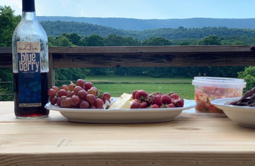 Mattawana Cabin | Gorgeous, Amish-Built Post and Beam Cabin on 10 acres, relax and unplug!