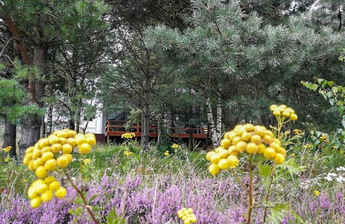 Szemud House | Gorgeous home in Kowalewo with WiFi