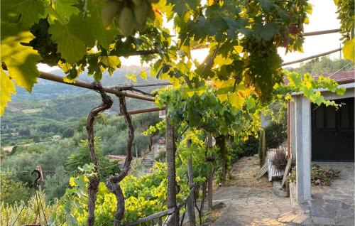 Olevano Romano House | Gorgeous Home In Olevano Romano