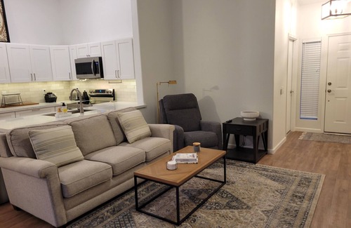 Chandler House | Gorgeous Home in SunBird Community 55+