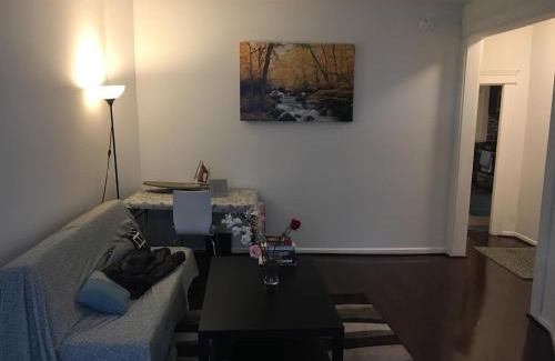 Charles Village House | GORGEOUS HOUSE NEXT JHU