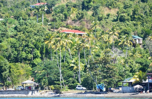 Toucari Cottage | Gorgeous timber cottage, Large garden, Short walk to the beach, Ocean view