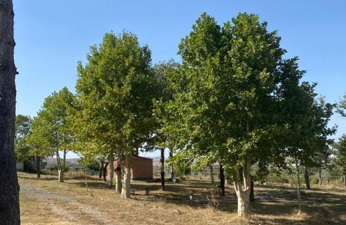 Didi Ateni House | Gorijvari Resort