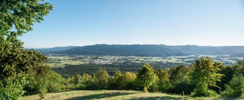 Ribnica House | Gostilna in picerija Harlekin
