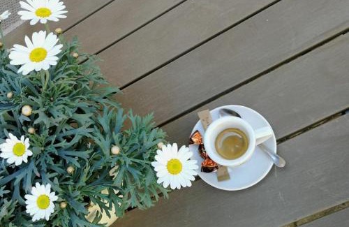 Ormoz Hotel | Gostilna Marta