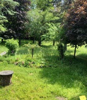 Chatillon-en-Michaille House | Goutanou chambre 3