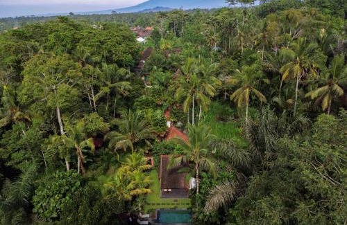 Taro Cabin | Govinda House