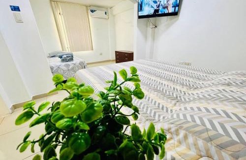 Cooperativa Empleados Consejo Provincial Apartment | Gran Suite Junto Al San Marino Mall