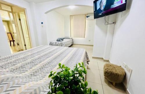 Cooperativa Empleados Consejo Provincial Apartment | Gran Suite Junto Al San Marino Mall