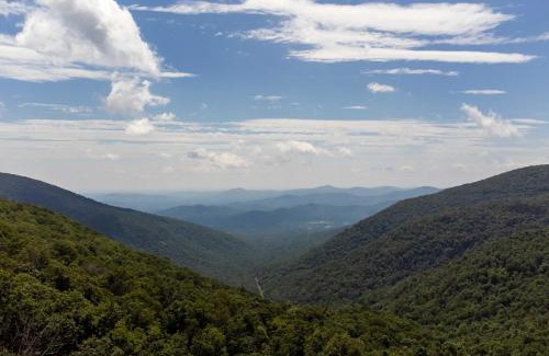 Nellysford House | Grand Chalet with Hot Tub - Near Wintergreen Resort