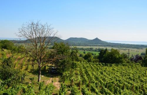 Hegymagas House | Grand Cru 3. Vendégház