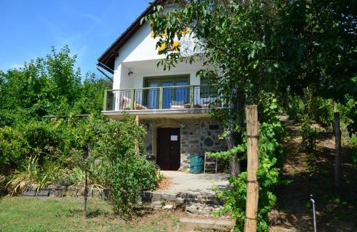 Hegymagas House | Grand Cru 3. Vendégház