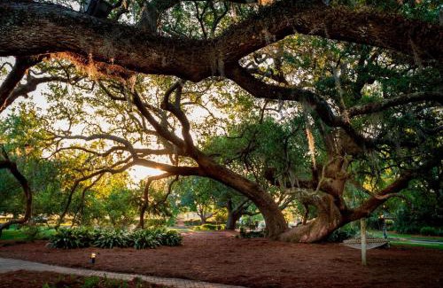 Fairhope Resort | Grand Hotel Golf Resort & Spa, Autograph Collection