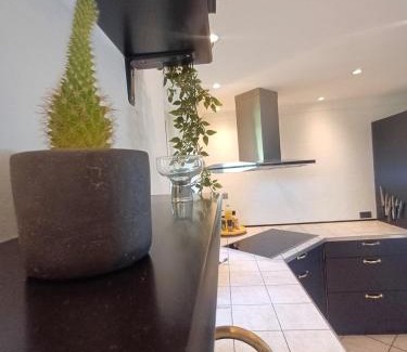 Hjørring Apartment | Grand Lux House with private parking