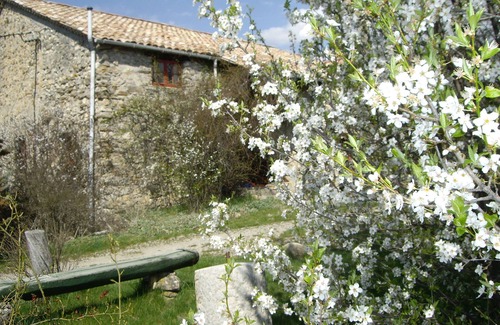 Oze House | Grand Old House, quiet, space, countryside, nature