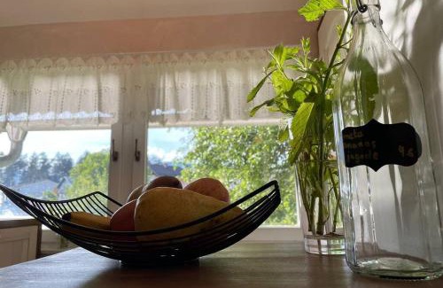 Radlje ob Dravi House | Grandma's House