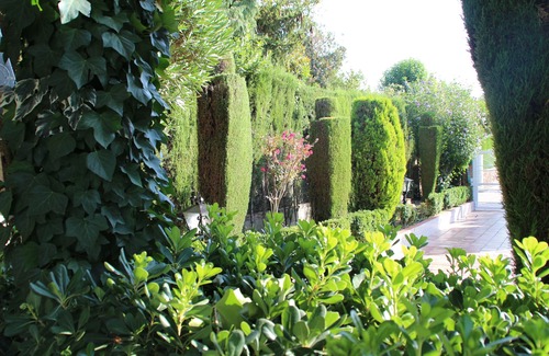 Barrio de la Vega House | Grandmother's Garden