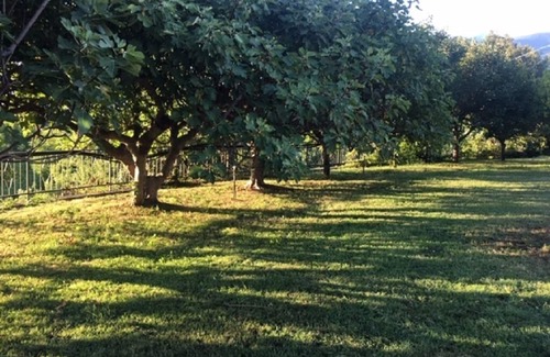Rapino Villa | Grandpa Remo's Villa
