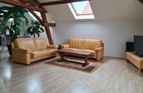 Saint-Nabor House | Grange Des Arts