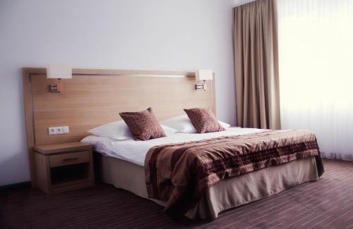 Zielona Gora Hotel | Grape Town Hotel - Park79