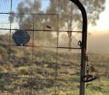 Grattai House | Grattai Grove Mudgee