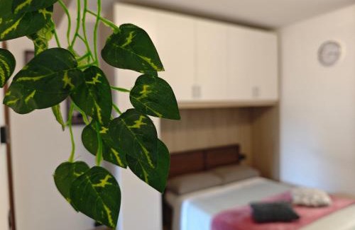 Casnate Con Bernate Apartment | Grazioso 38 MQ a 10 minuti da Como Centro