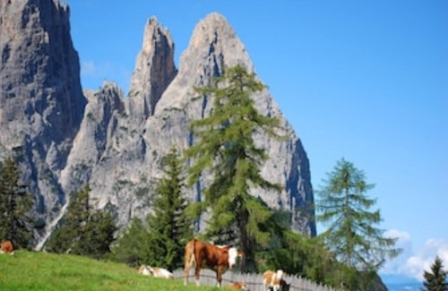 Siusi Apartment | Great, quiet apartment, to feel good, Dolomites, Alpe di Siusi, South Tyrol