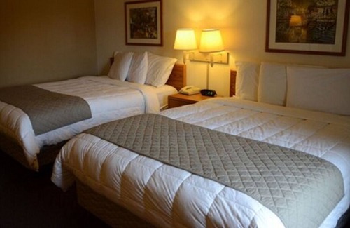 Thorp House | Great Relaxing Overnight Stay! 3 Pet-friendly Units, Free Parking, Pets Allowed