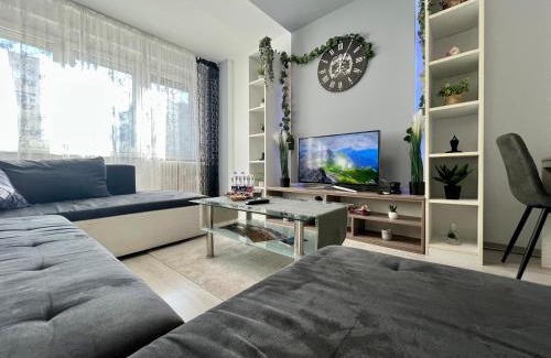Debrecen Apartment | GreatForestSportAndSpaUniversityFlat