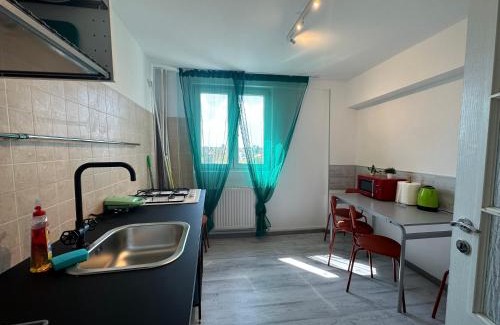 Dorobanti Apartment | green apartment 70