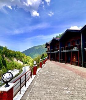 Uzungol Apartment | Green Cinar Apart