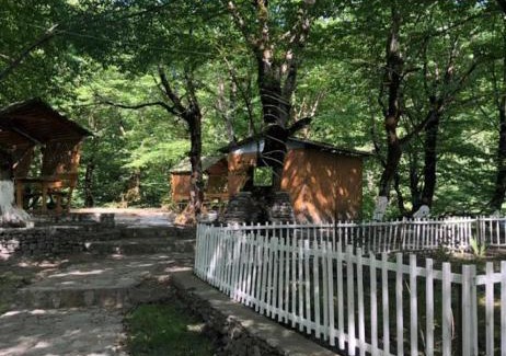 Gabala Villa | Green Garden Gabala Villas&Cottages