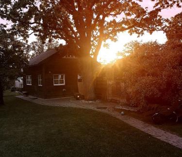 Jurmala House | Green Garden house
