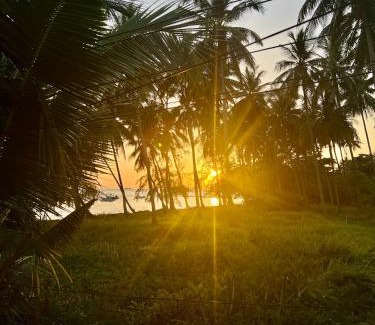 Ang Thong Resort | Green Heaven Bungalows